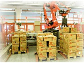 百潤機(jī)械 批發(fā)碼垛上下料機(jī)器人效果圖 批發(fā)碼垛上下料機(jī)器人